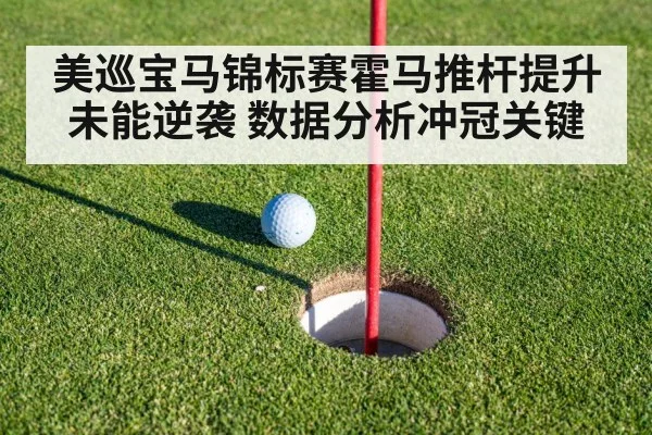 美巡宝马锦标赛霍马推杆提升未能逆袭 数据分析冲冠关键